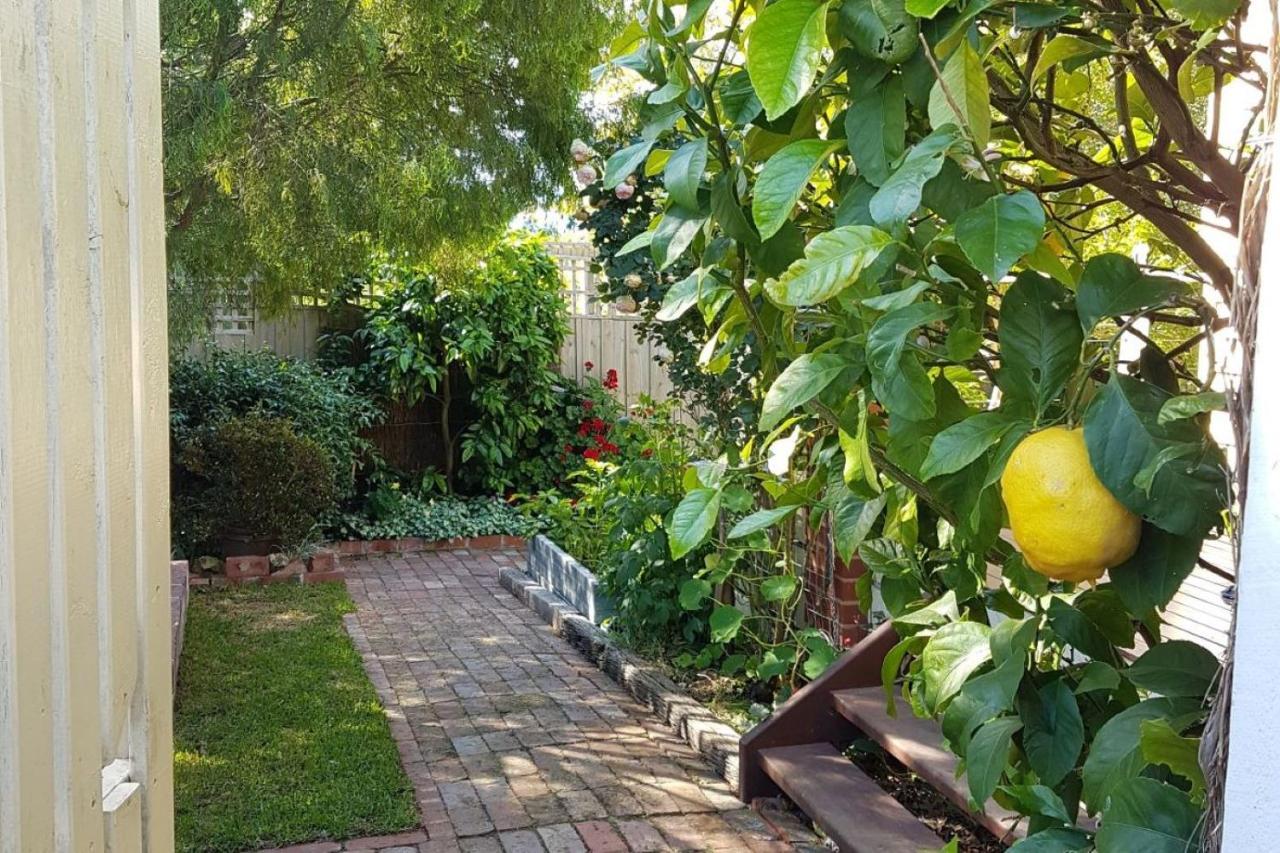 Healesville House - Fig Tree House Exterior photo